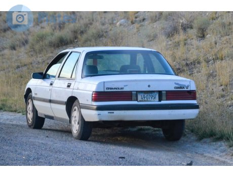 49-0795F, Chevrolet Corsica