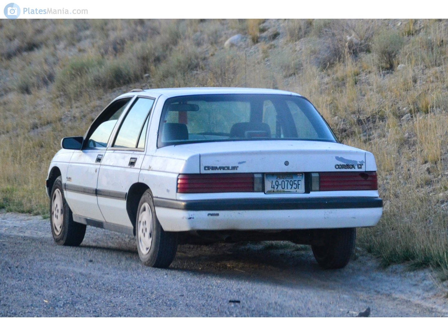 49-0795F, Chevrolet Corsica 1st gen Sedan (69; L-body), 1987–1996