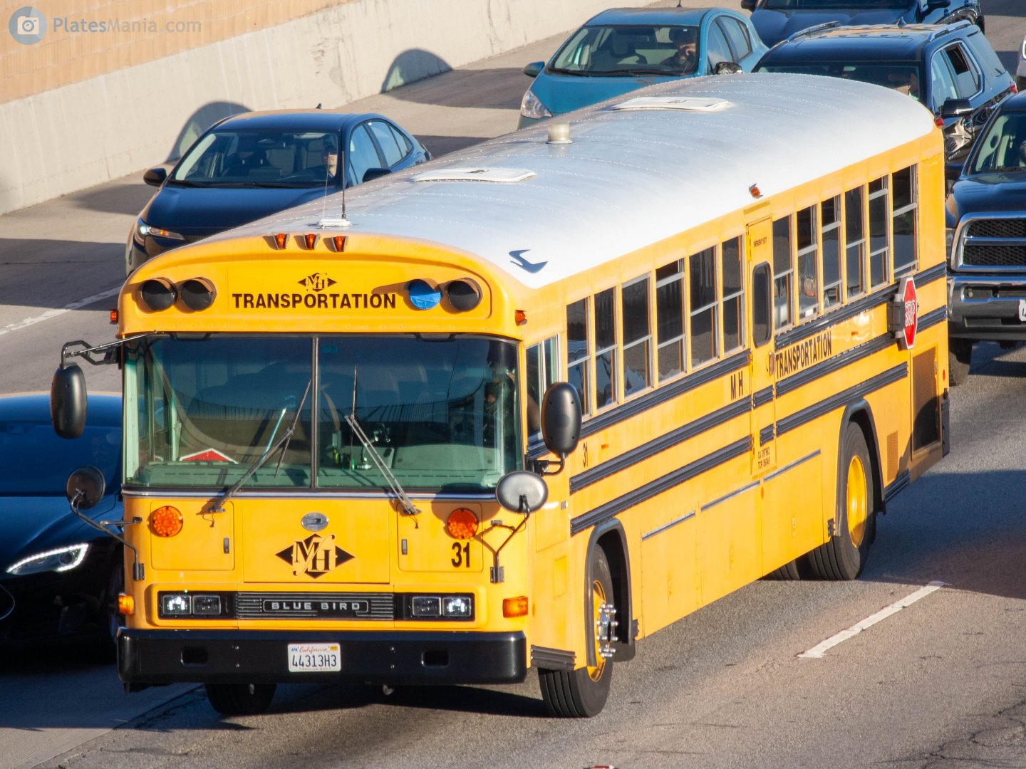 44313H3, Blue Bird All American/Canadian 