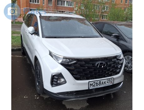 м268ак250, Hyundai Custo (Custin)
