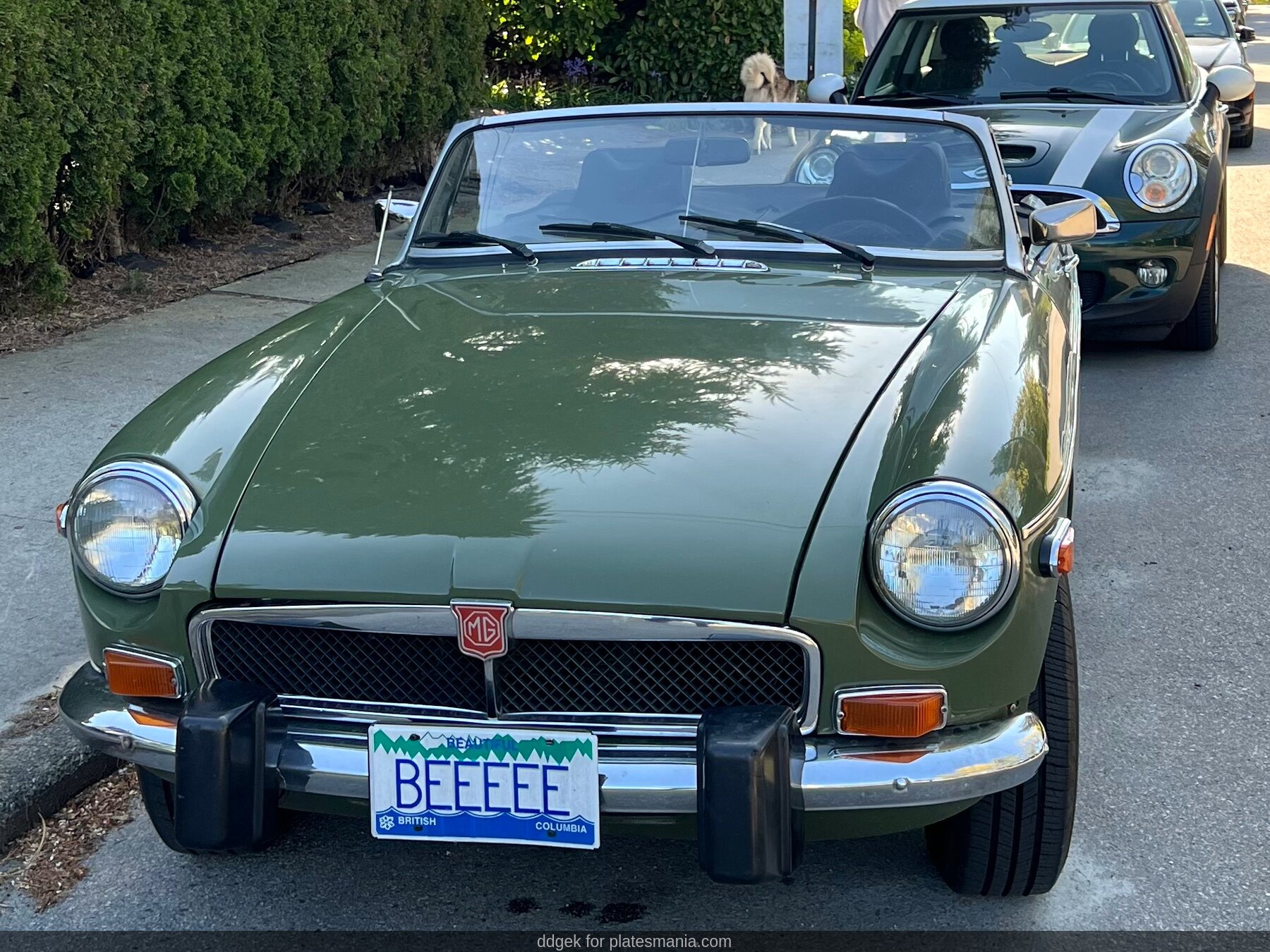 BEEEEE, MG B 1st gen Roadster, 1962–1980