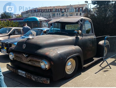 DH-008-MQ, Ford F-100