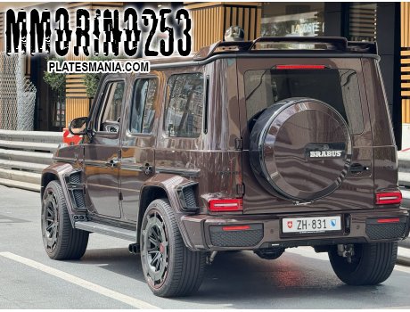 ZH 831, Mercedes-Benz G-Klasse