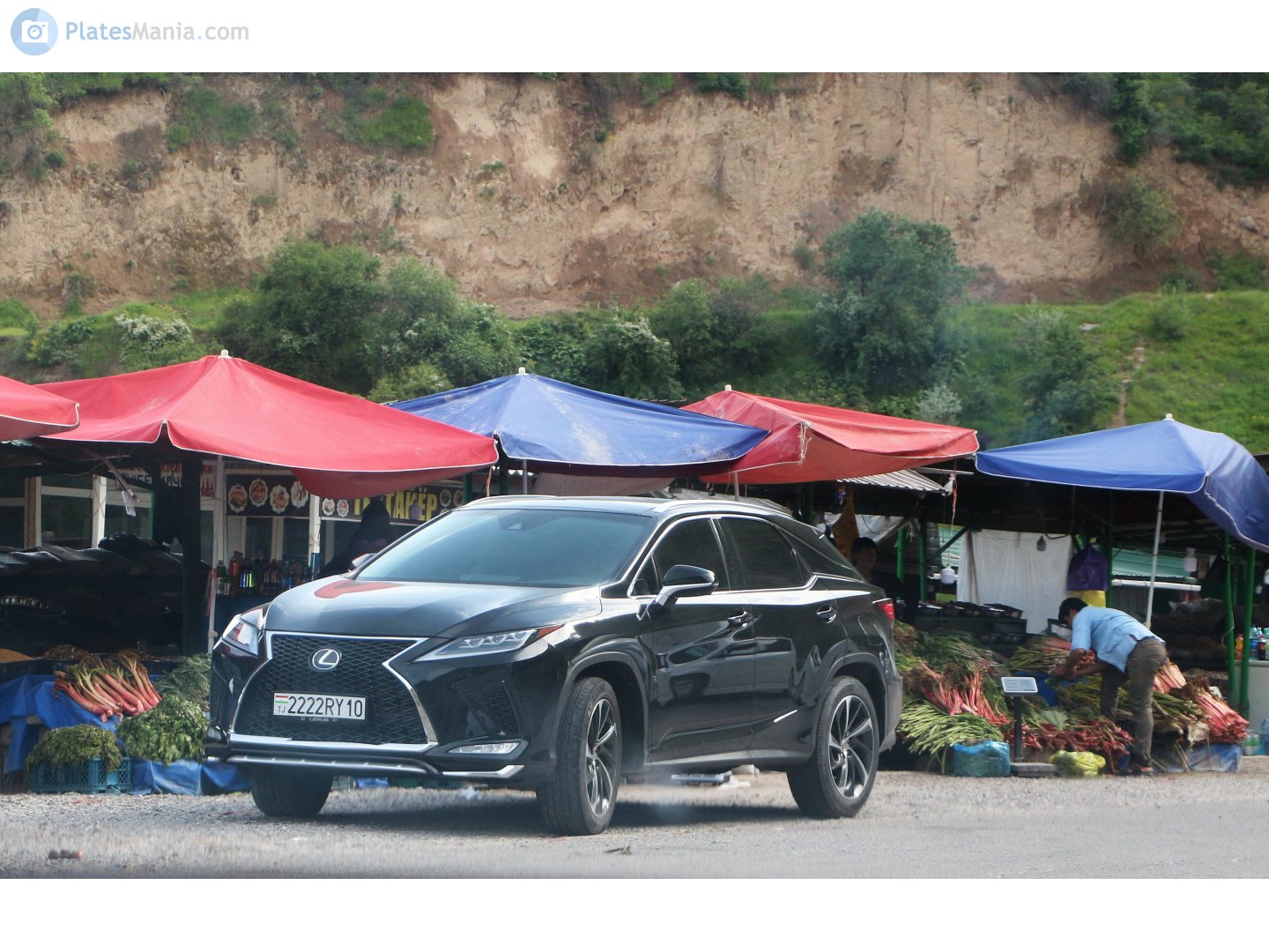 2222RY10, Lexus RX 4th gen (AL20), facelift, 2019–2022