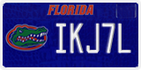 Florida, Specialty plates (XXXXX)