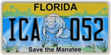 Florida, Specialty plates (XXX XXX)