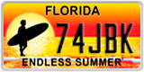 Florida, Placas especiales (XXXXX)