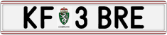License plate of Austria, Regular plates