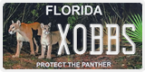 Florida, Specialty plates (XXXXX)