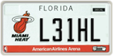 Florida, Specialty plates (XXXXX)