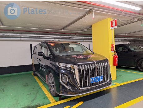 豫A·0ST42, Hongqi HQ9