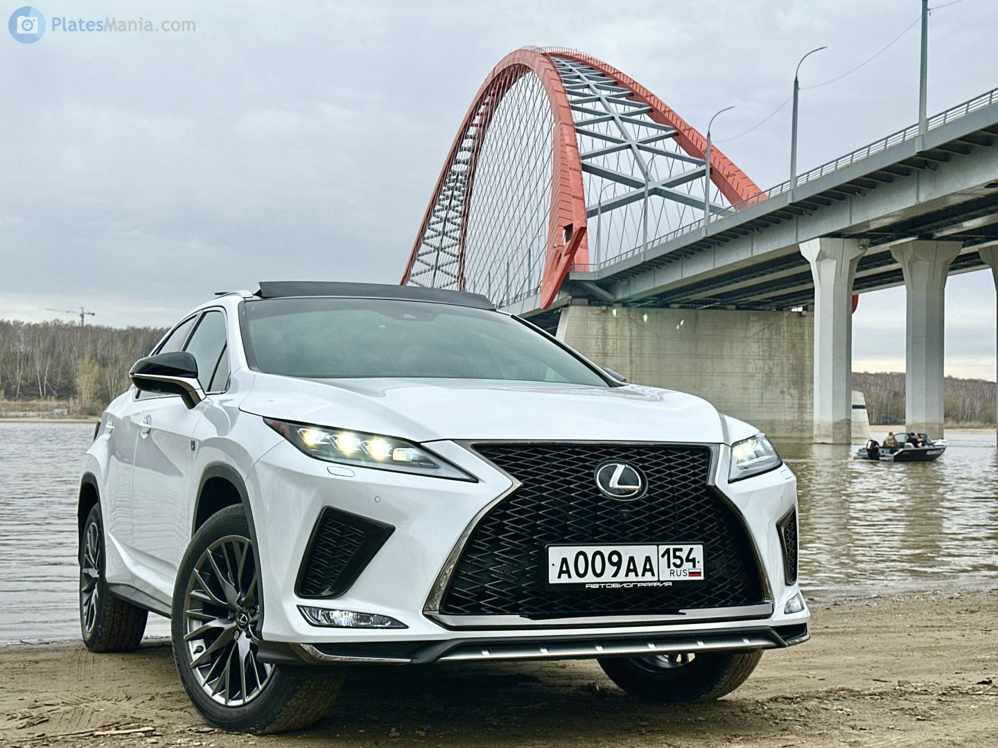 а 009 аа 154, Lexus RX 4th gen (AL20), facelift, 2019–2022
