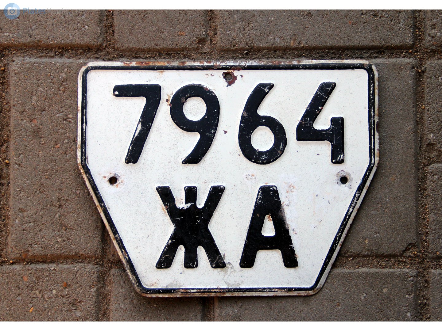 7964 ЖА, License plate without vehicle 