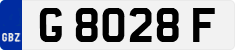 G 8028 F
