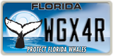 Florida, Specialty plates (XXXXX)