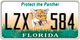Florida, Specialty plates (XXX XXX)