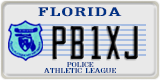 Florida, Specialty plates (XXXXX)