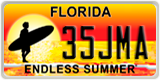 Florida, Specialty plates (XXXXX)