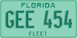 Florida, Fleet