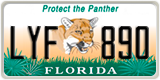 Florida, Specialty plates (XXX XXX)