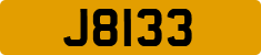 J8133