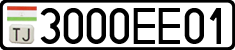 3000EE01
