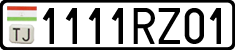 1111RZ01