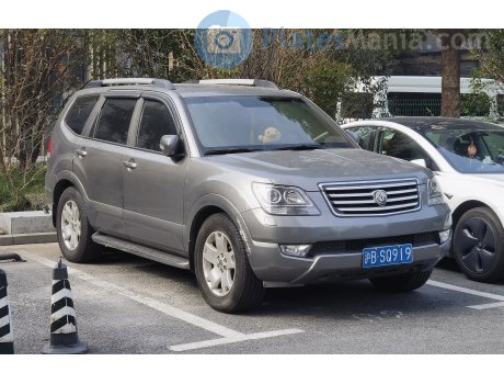 沪B·SQ919, Kia Borrego