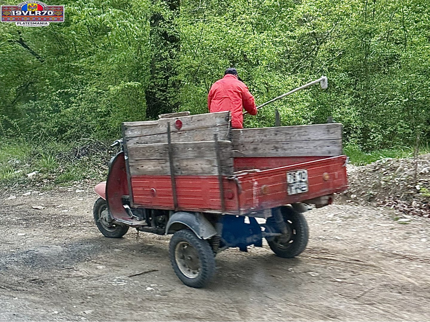 7810 ГРЕ, TMZ Муравей 