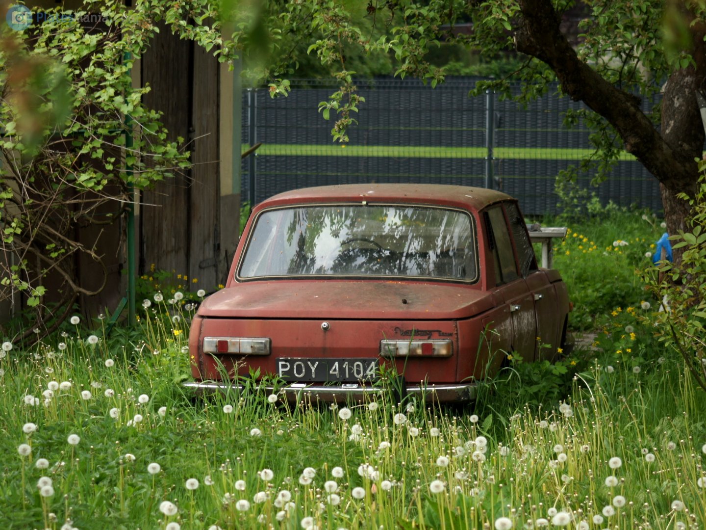 POY 4104, Wartburg 353 Limousine, 1966–1985