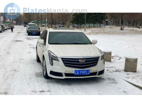 辽A·99PL2, Cadillac XTS