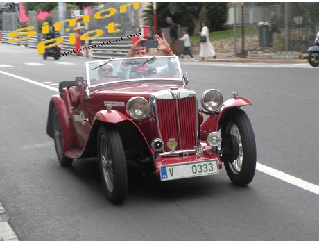 V 0333, MG TA
