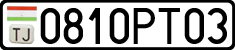 0810PT03