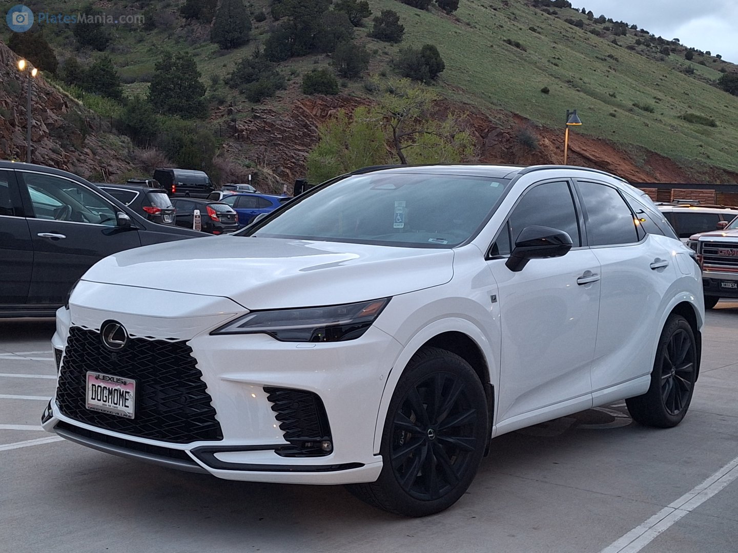 DOGMOME, Lexus RX 5th gen (AL30), 2022–