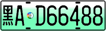 License plate of China, Electric vehicles