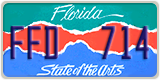 Florida, Specialty plates (XXX XXX)