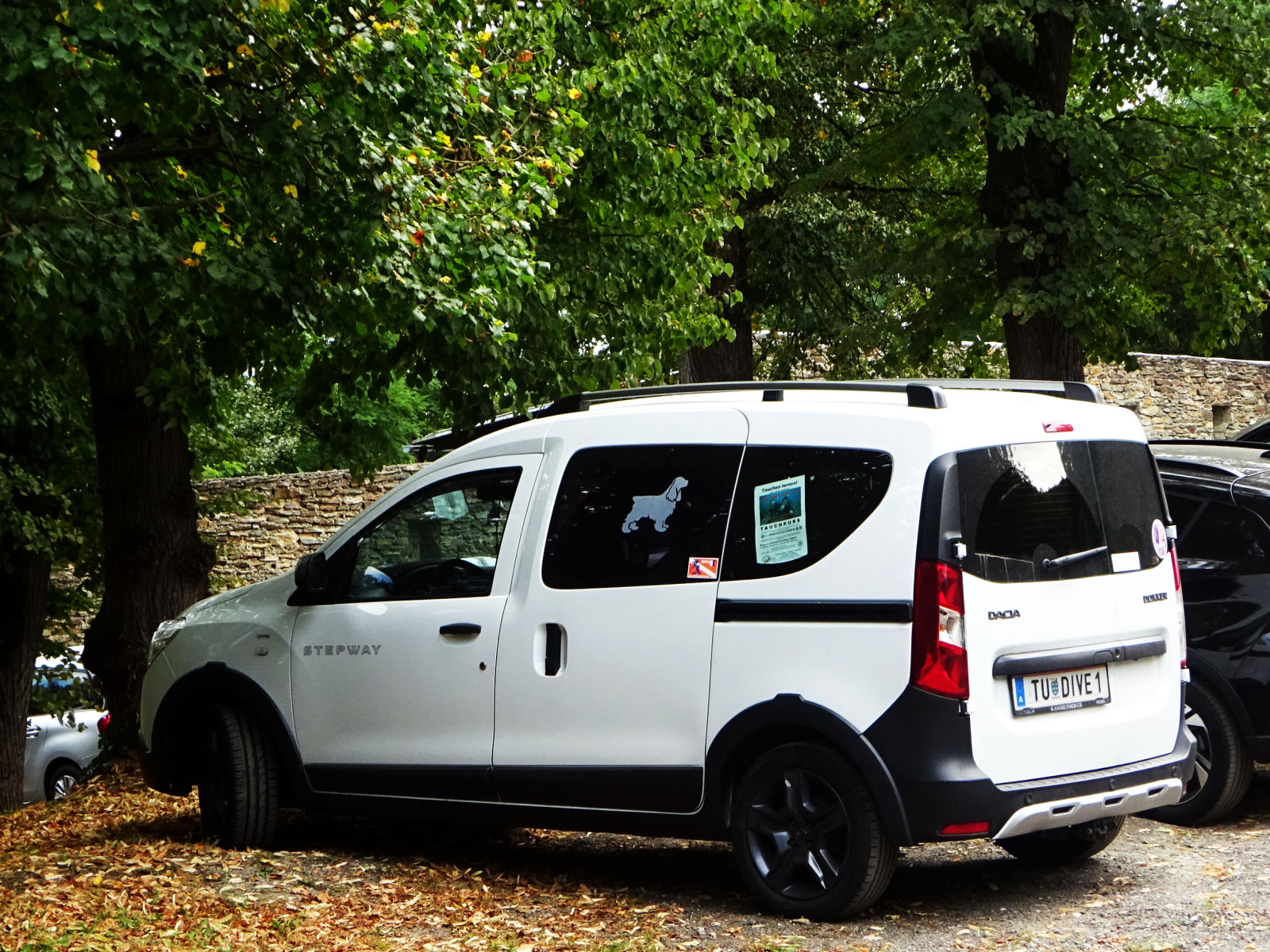 TU DIVE 1, Dacia Dokker 1st gen Stepway (K67), 2012–2021