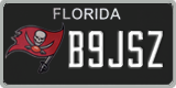Florida, Specialty plates (XXXXX)