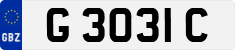 G 3031 C