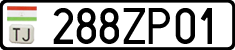 288ZP01