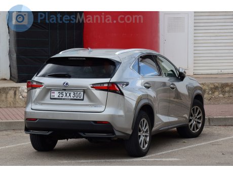 25 XX 300, Lexus NX