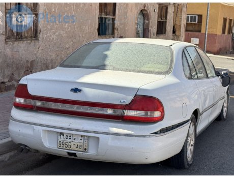 ‎٩٩٥٥‎ ‎ب أ ط‎ / 9955 TAB, Chevrolet Caprice