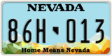 Nevada, 12A-345
