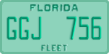 Florida, Fleet