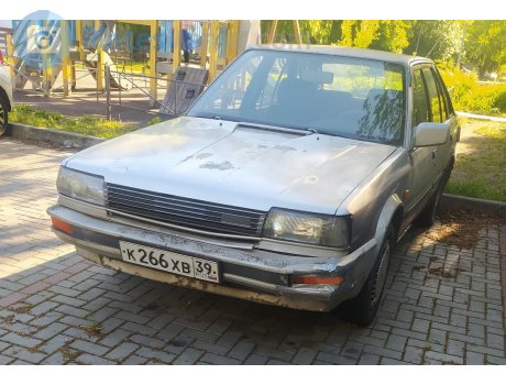 к266хв39, Nissan Bluebird