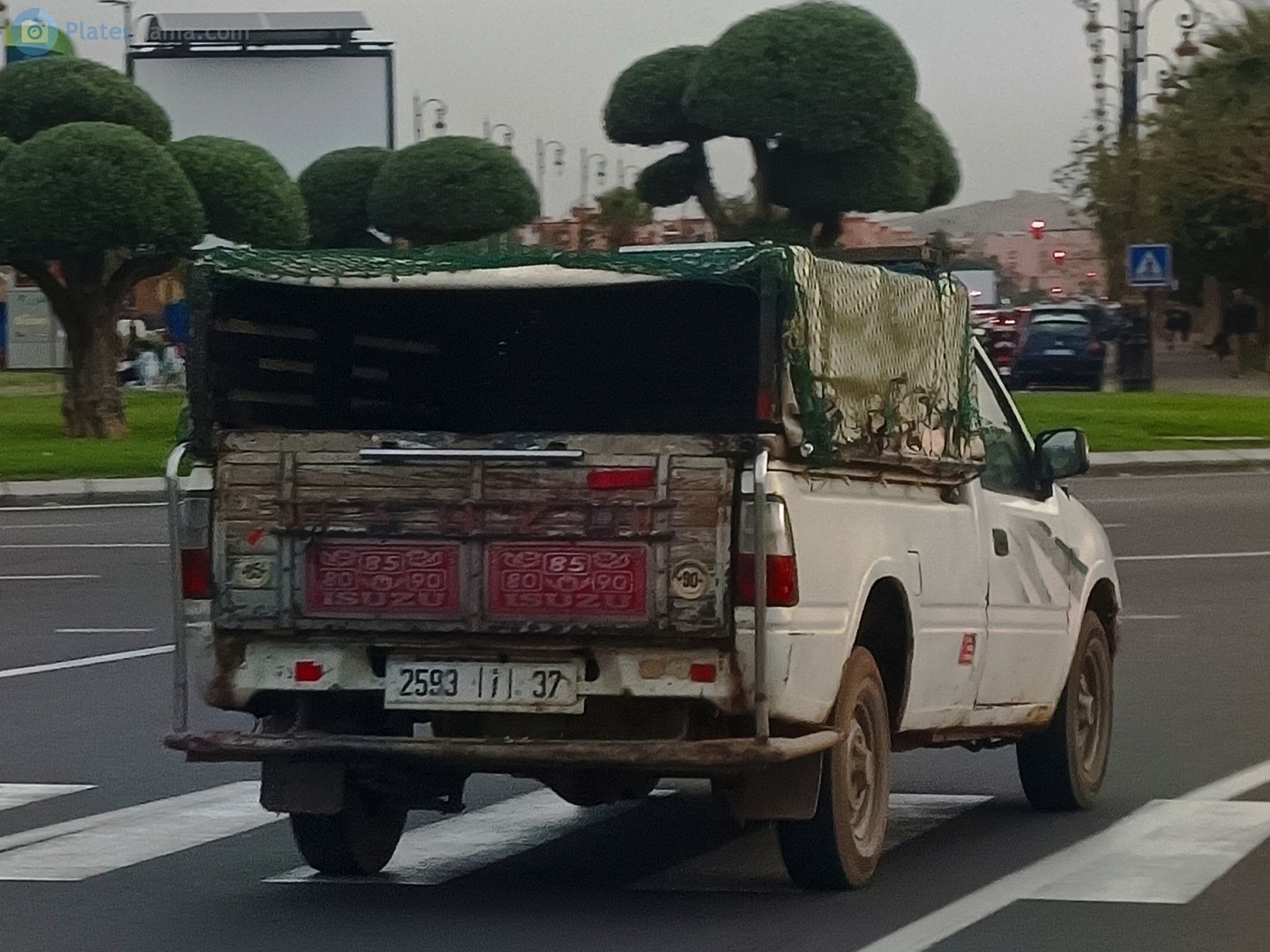 2593|أ|37, Isuzu Pickup 