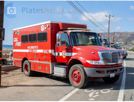 1546219, International MV Series