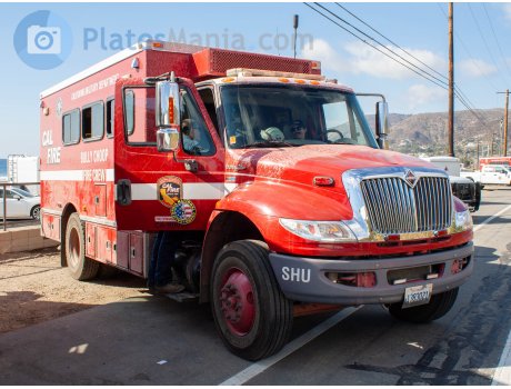 1383021, International MV Series