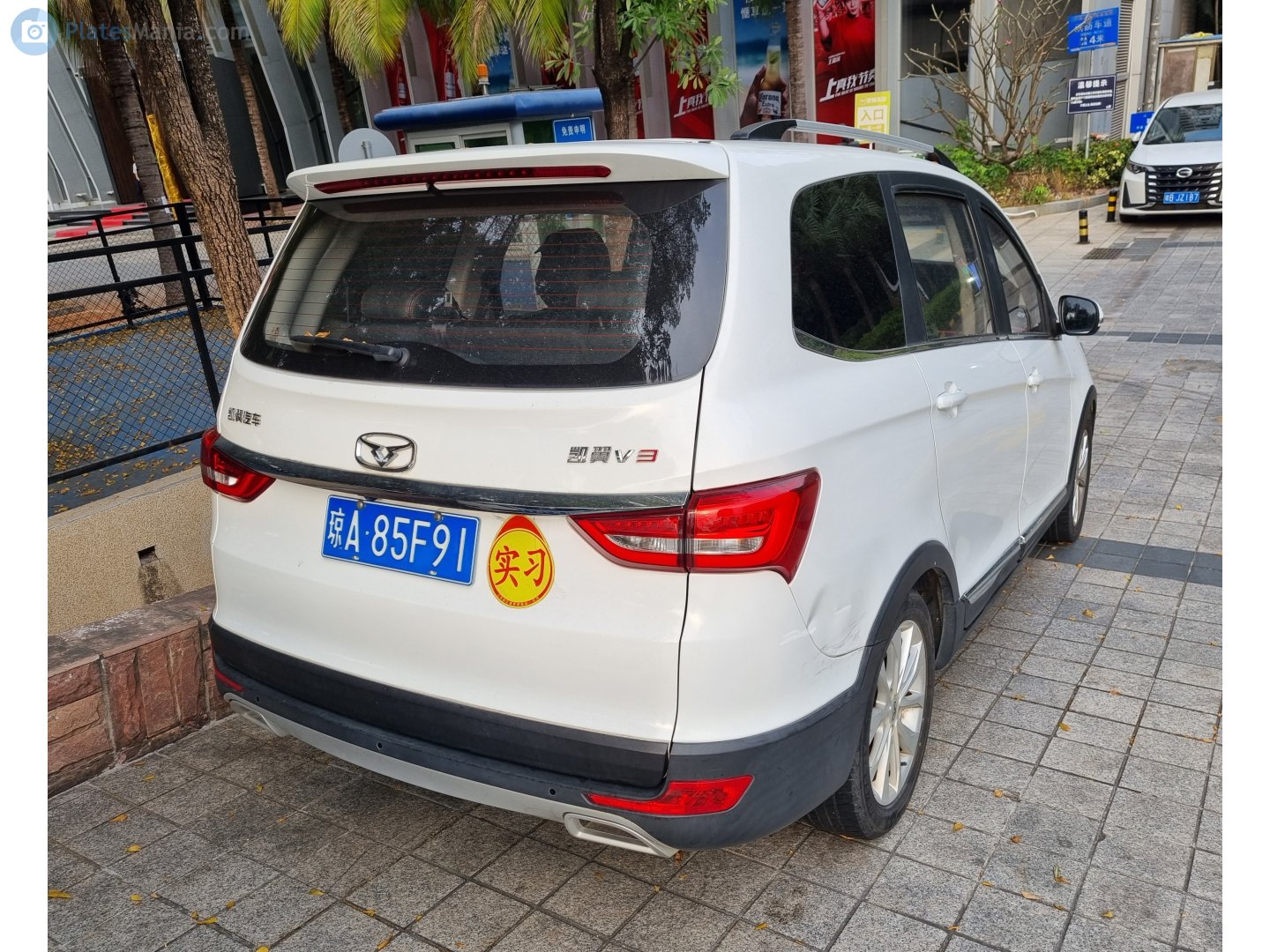 琼A·85F91, Cowin V3 