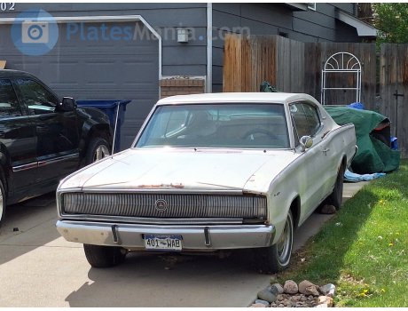 401-WAB, Dodge Charger